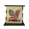 Patriotic Decorative Light Up Gift Box