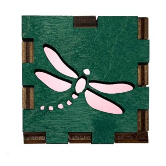 Dragonfly Fun Light Up Gift Boxes