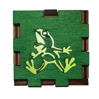 Frog Fun Light Up Gift Boxes